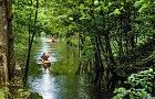 Kajaki szaleństwo Bukowina