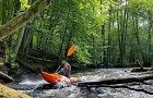Kajaki Flisów - Łupawa
