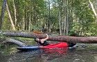 Spływ jednodniowy Flisów-Łupawa