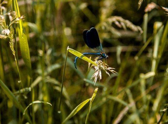 Kajaki i rowery na Kaszubach