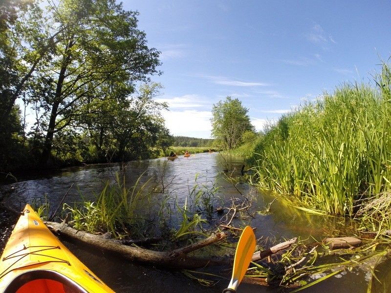 Spływ kajakowy Łupawą RELAX