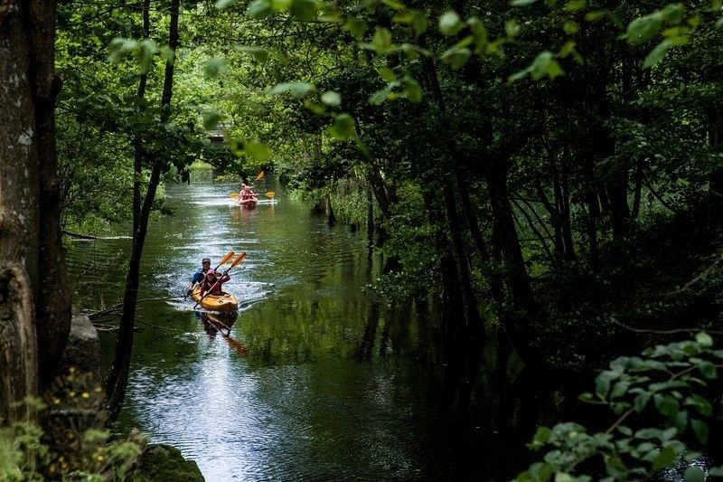 Spływ kajakowy Łupawą RELAX