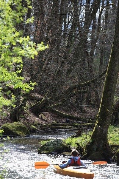 Spływ kajakowy Bukowina jeziorami