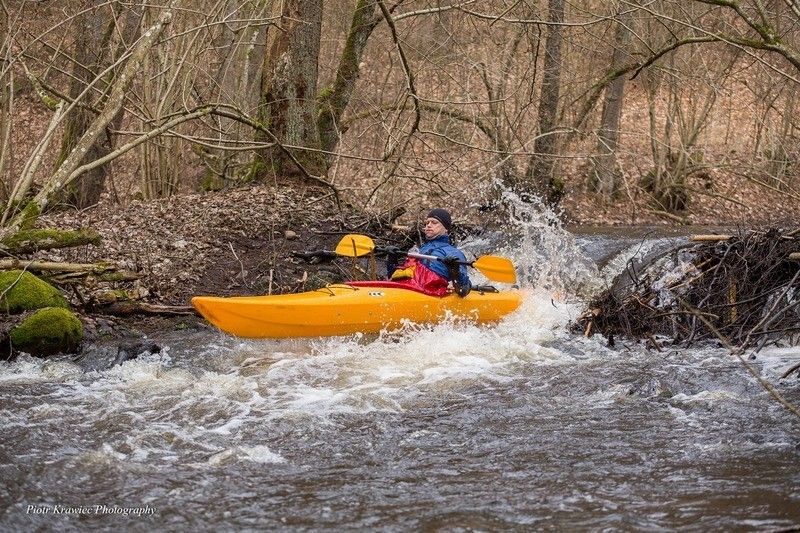 Kajaki Bukowina nie dla żółtodziobów