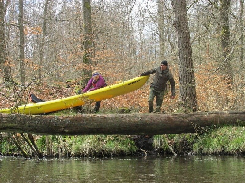 Kajaki Bukowina nie dla żółtodziobów