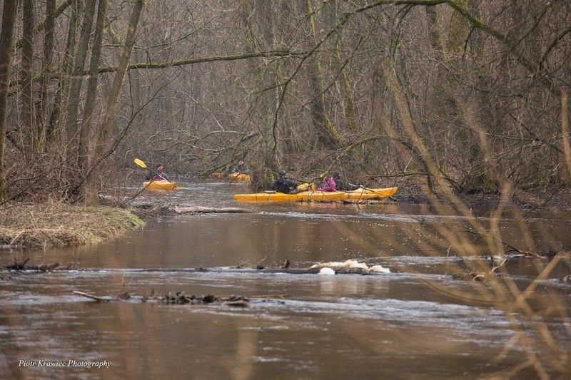 Kajaki Bukowina nie dla żółtodziobów