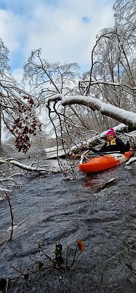 Spływ Kozin Przystań FAMILYday - Flisów